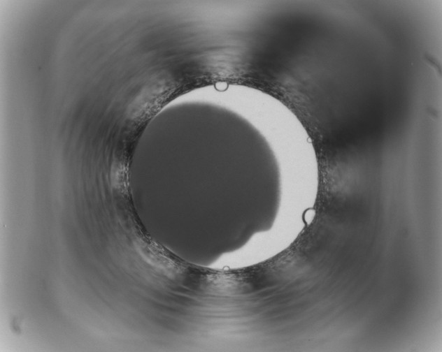 X0000100870419200807071107