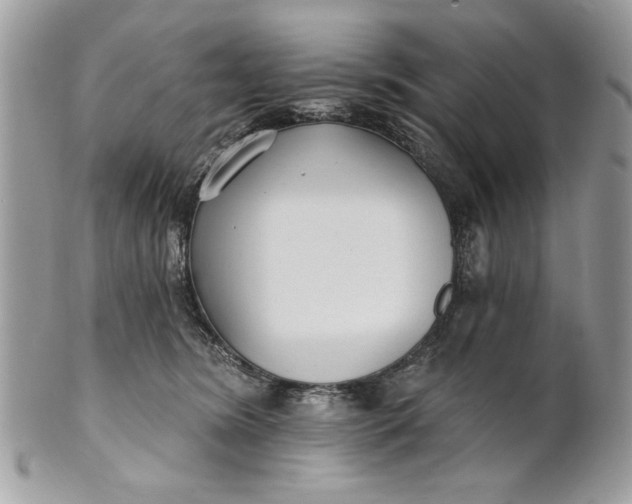 X0000100870420200807071107