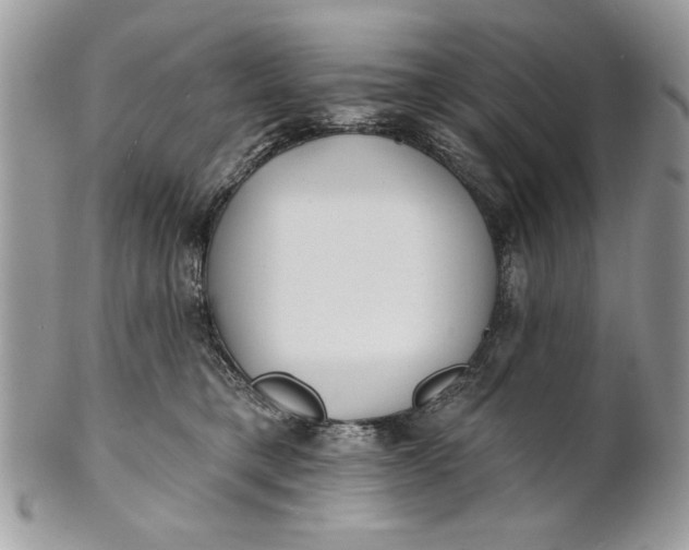 X0000100870421200807071107