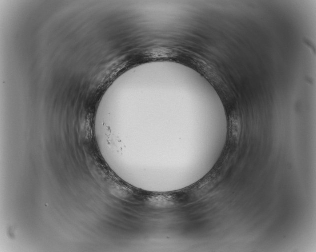 X0000100870422200807071107