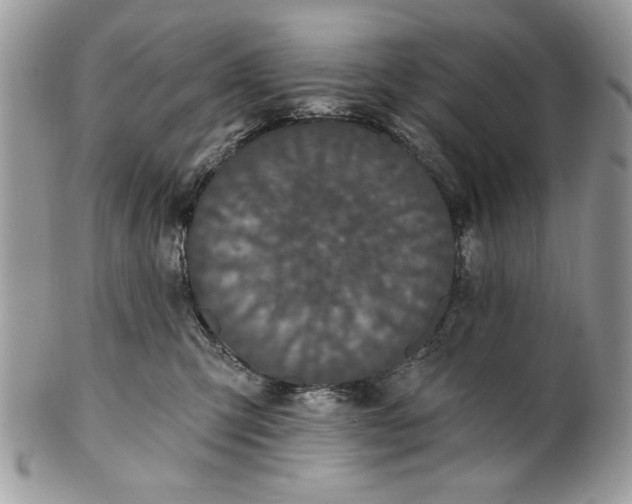 X0000100870423200807071107