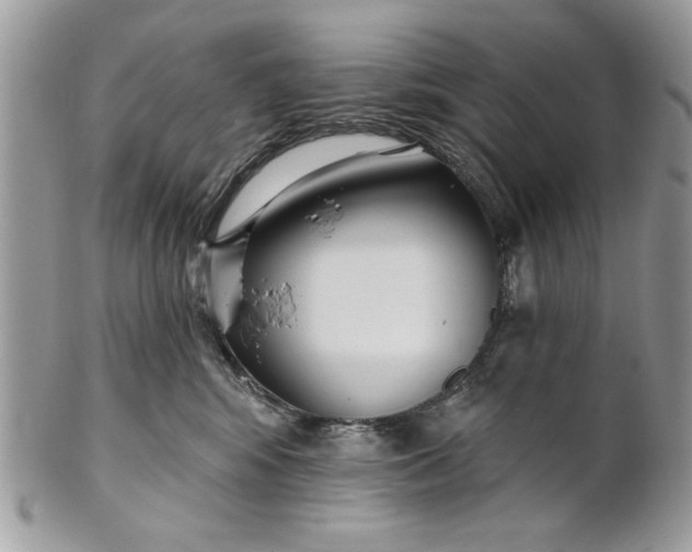 X0000100870424200807071107