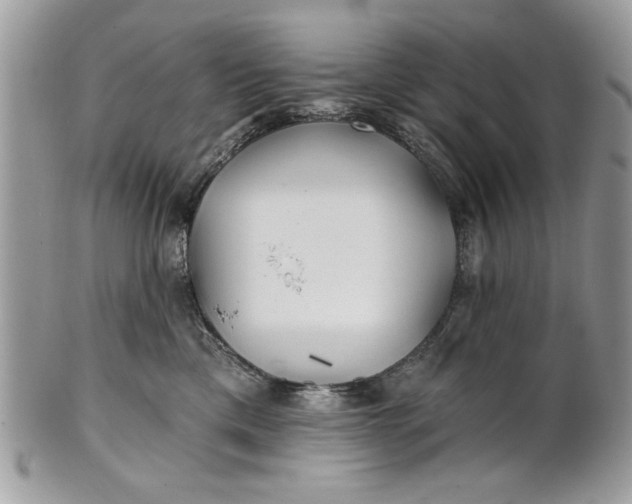 X0000100870425200807071107