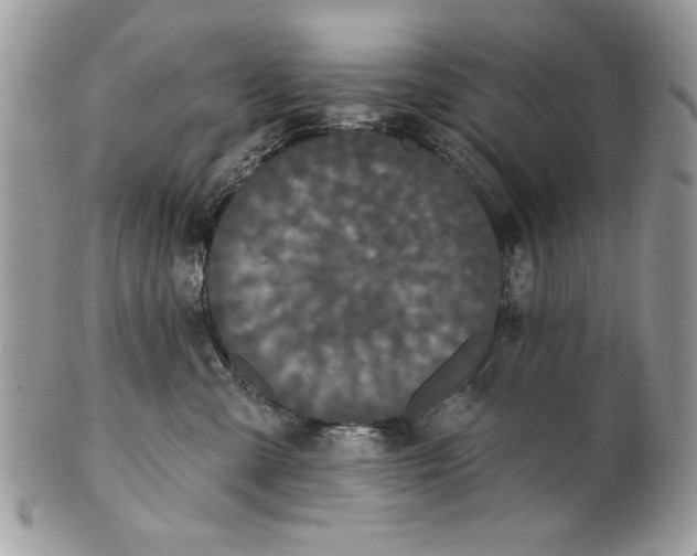 X0000100870427200807071107