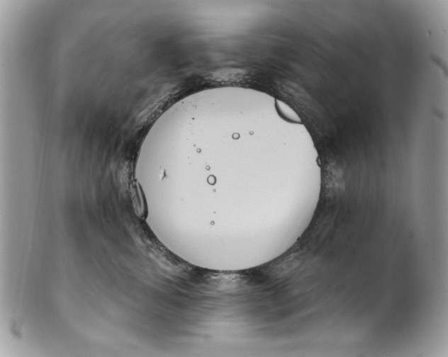 X0000100870428200807071107