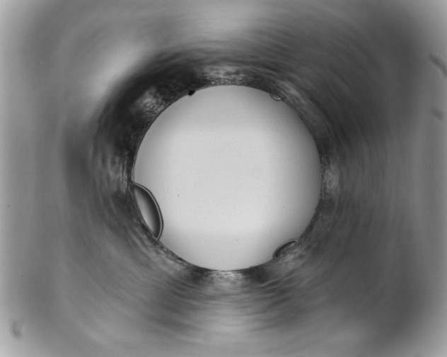 X0000100870429200807071107