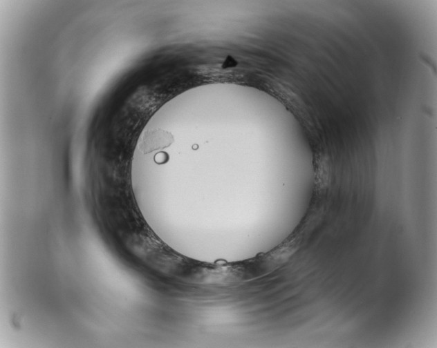 X0000100870430200807071107