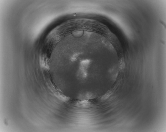 X0000100870431200807071107