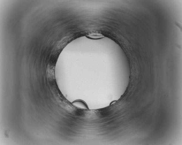 X0000100870432200807071107