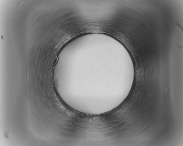 X0000100870433200807071106