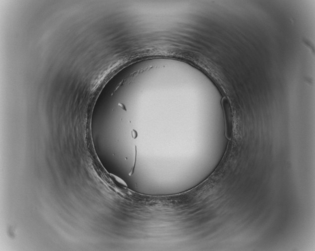 X0000100870434200807071106