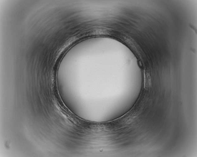 X0000100870435200807071106