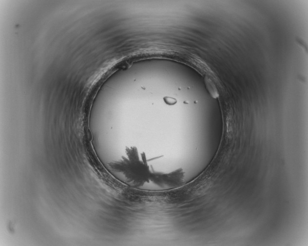 X0000100870436200807071106