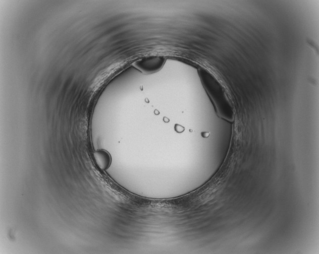 X0000100870437200807071106