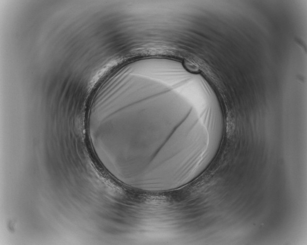 X0000100870438200807071106