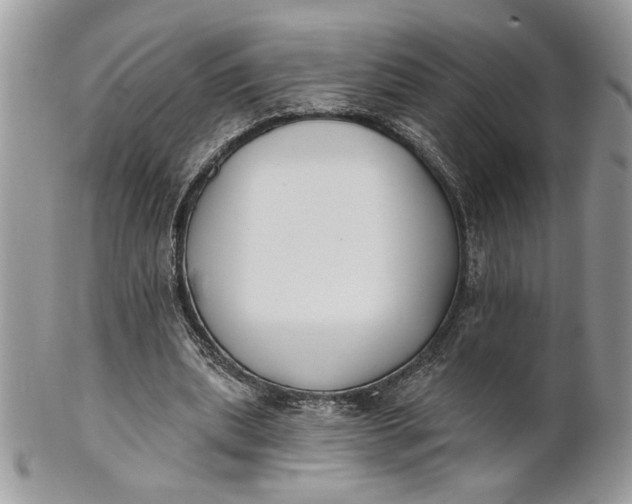 X0000100870439200807071106