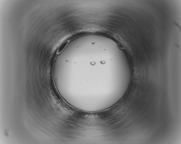 X0000100870440200807071106