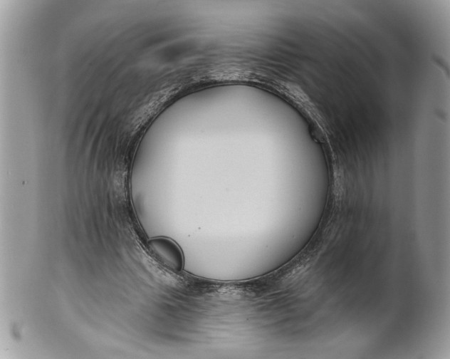 X0000100870441200807071106