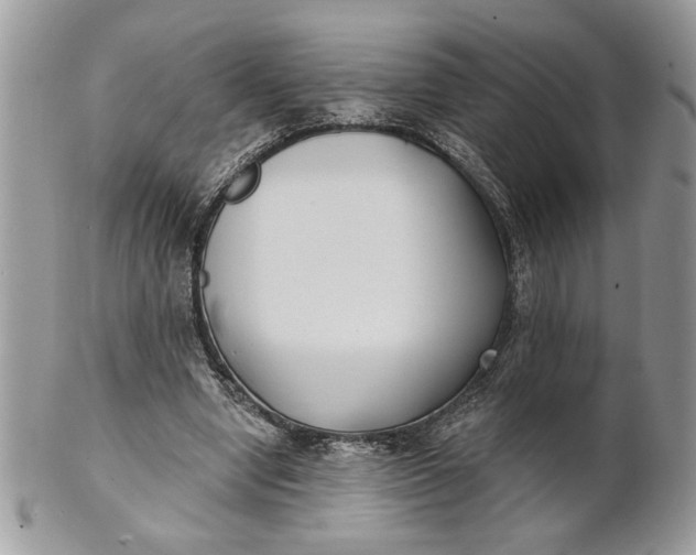 X0000100870442200807071106