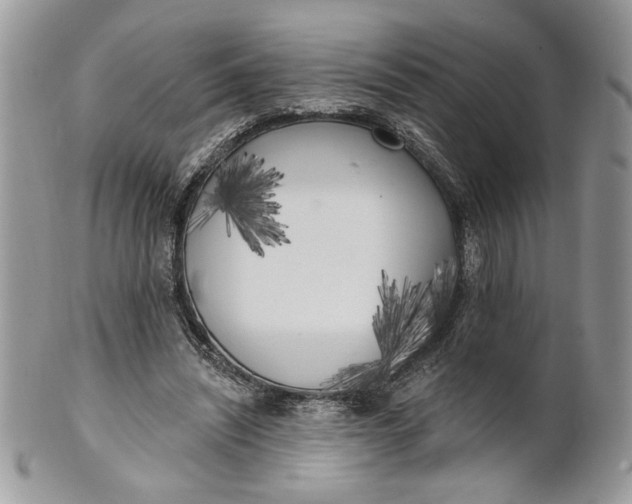 X0000100870444200807071106