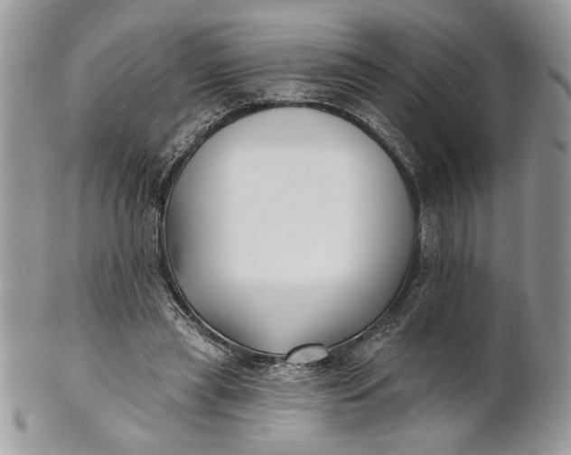 X0000100870445200807071106