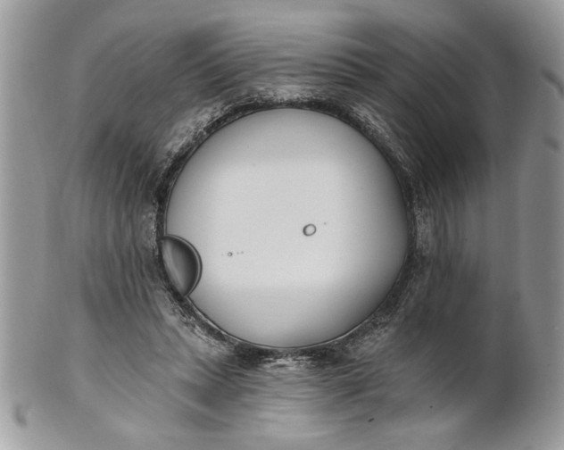 X0000100870447200807071106