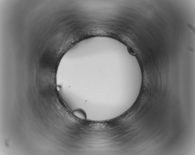 X0000100870449200807071106