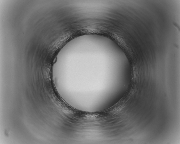 X0000100870450200807071106