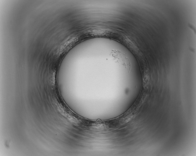 X0000100870454200807071106