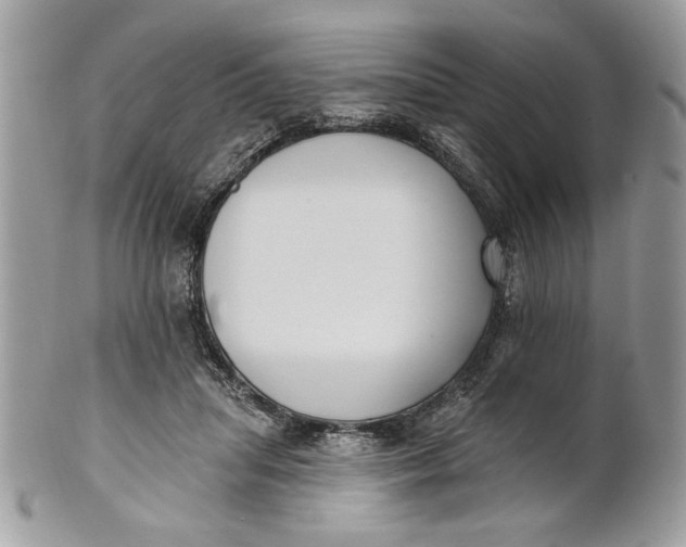 X0000100870455200807071107