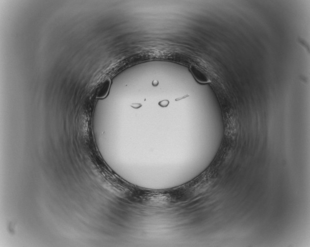 X0000100870456200807071107