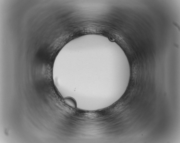 X0000100870457200807071107