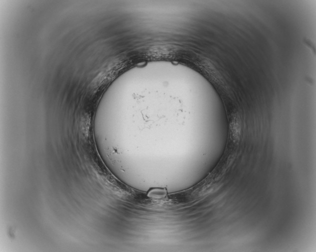 X0000100870458200807071107