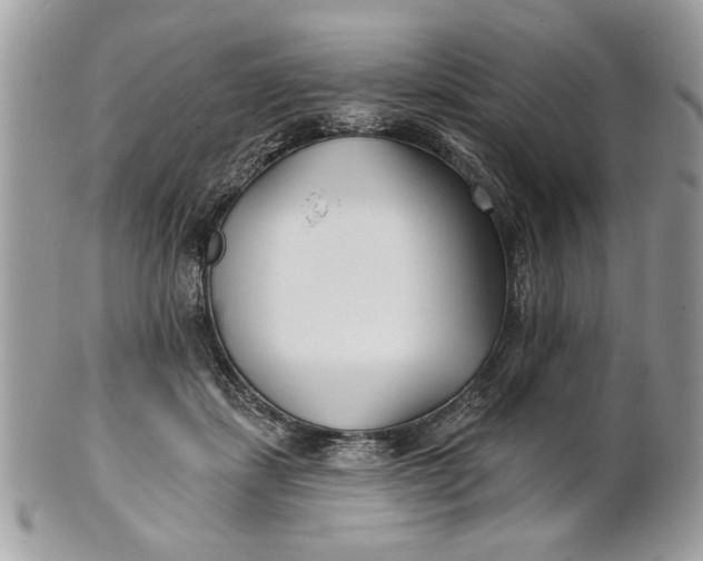 X0000100870459200807071107