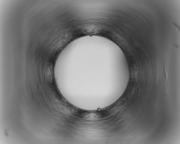 X0000100870460200807071107