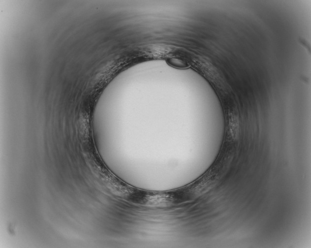 X0000100870461200807071107