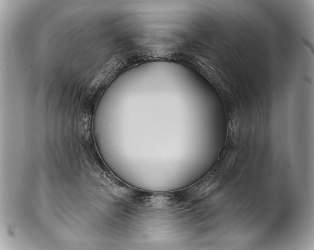 X0000100870462200807071107