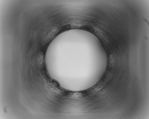 X0000100870463200807071107