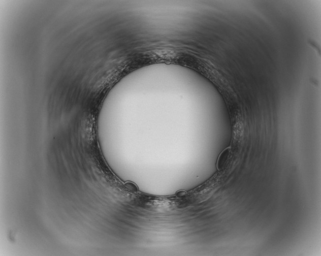 X0000100870464200807071107