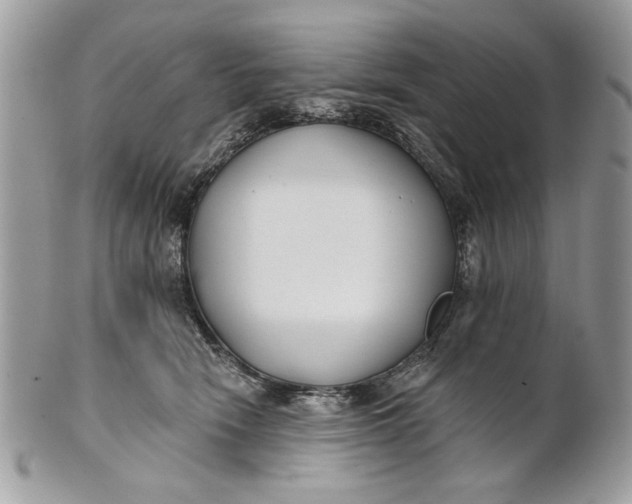 X0000100870466200807071107