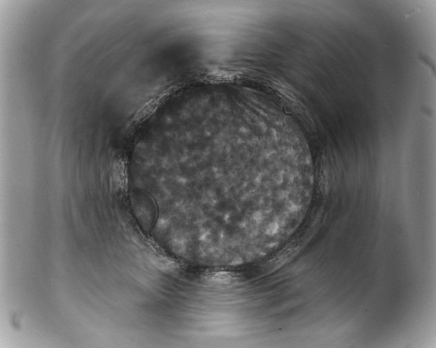 X0000100870467200807071107