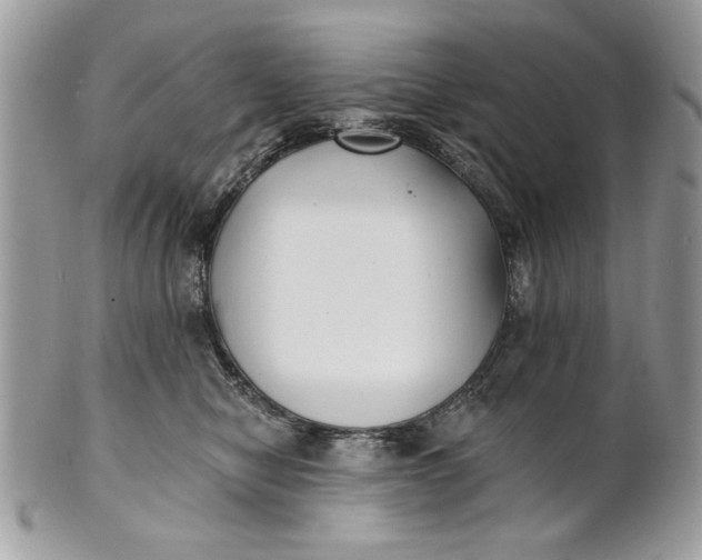 X0000100870470200807071107