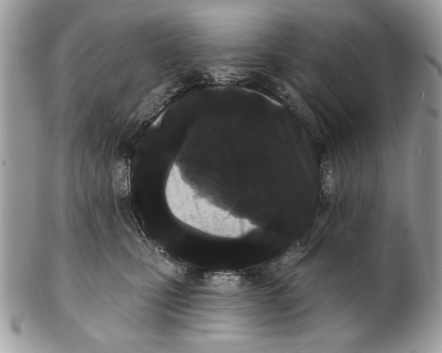 X0000100870471200807071107