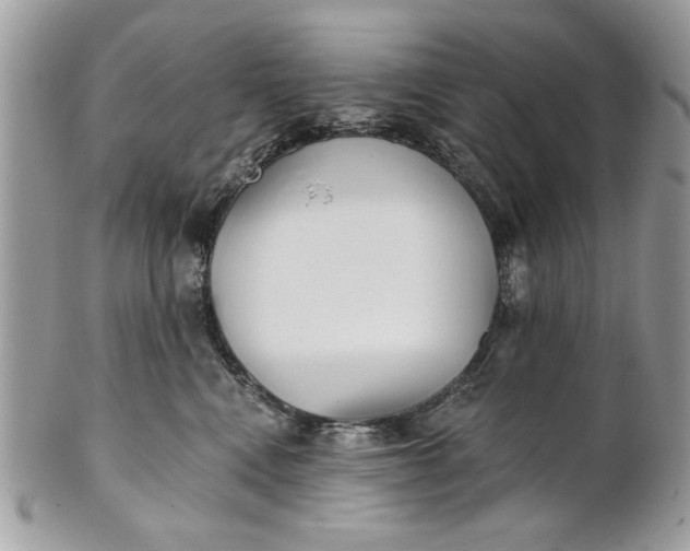 X0000100870472200807071107