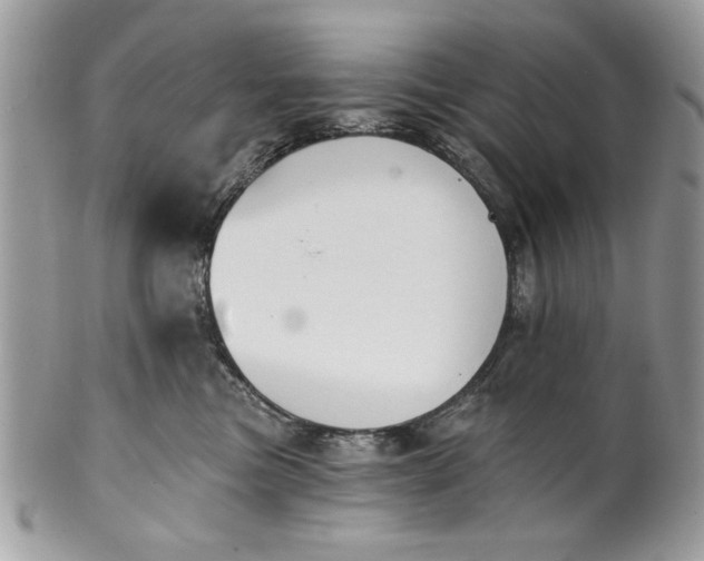 X0000100870473200807071107