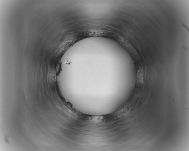 X0000100870474200807071107