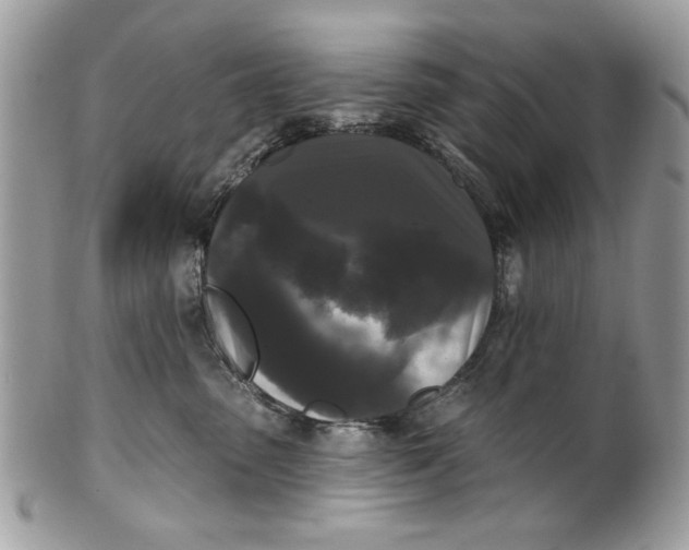 X0000100870475200807071107