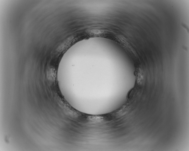 X0000100870476200807071107