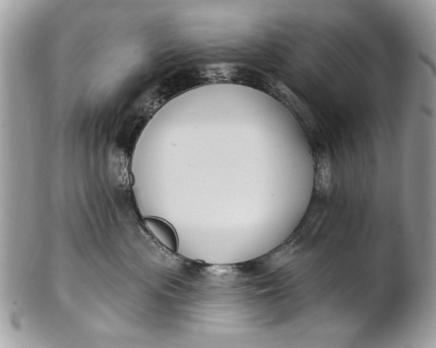 X0000100870477200807071107