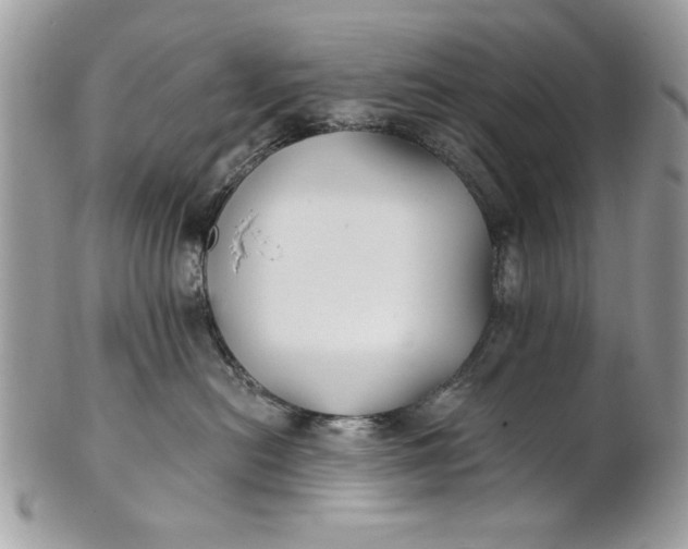 X0000100870478200807071107